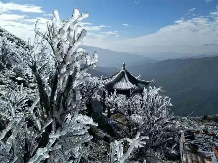 刚刚广东下雪了柏塘冷到炸裂但是接下来的天气