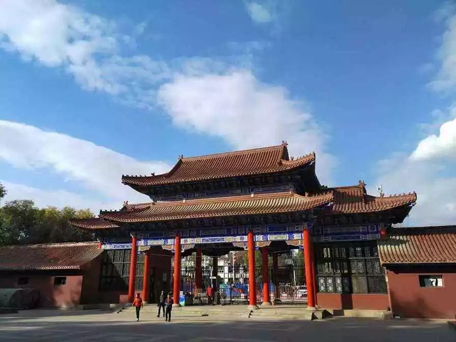 董沂峰先后前往石河子市园林研究所,市西公园,动物园等地进行现场查看