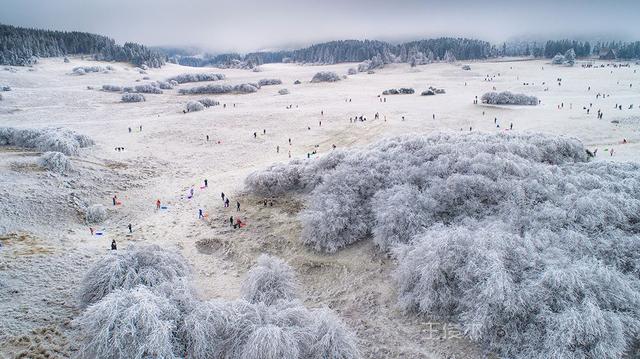 重慶竟藏著一個雪鄉，霧凇、雪景美哭了，距主城僅3小時 旅行 第15張