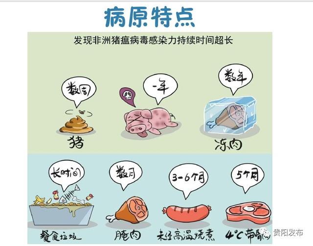 怎样消灭非洲猪瘟病毒(灭活?