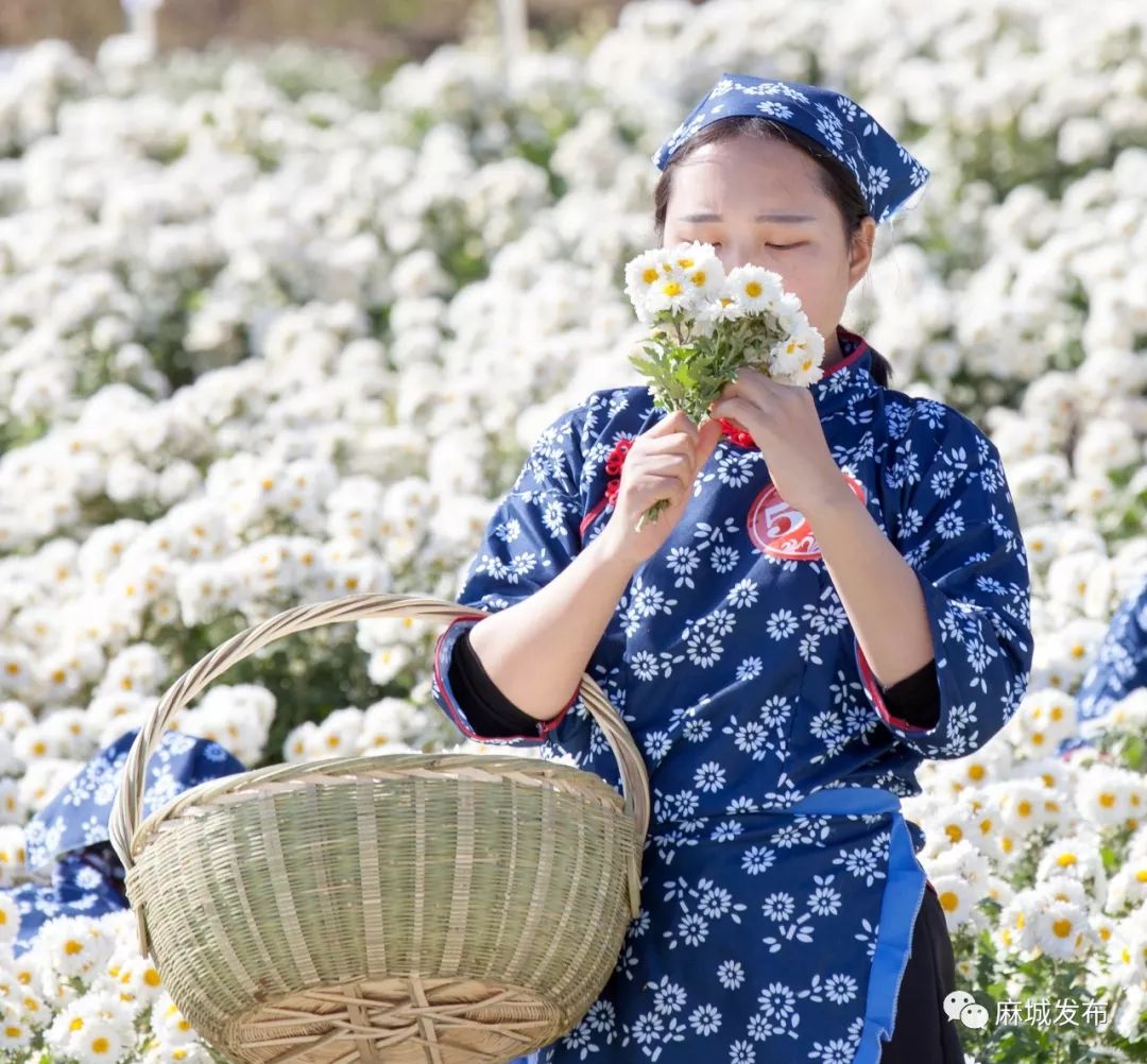 菊花加上她!是时候拿出来显摆了