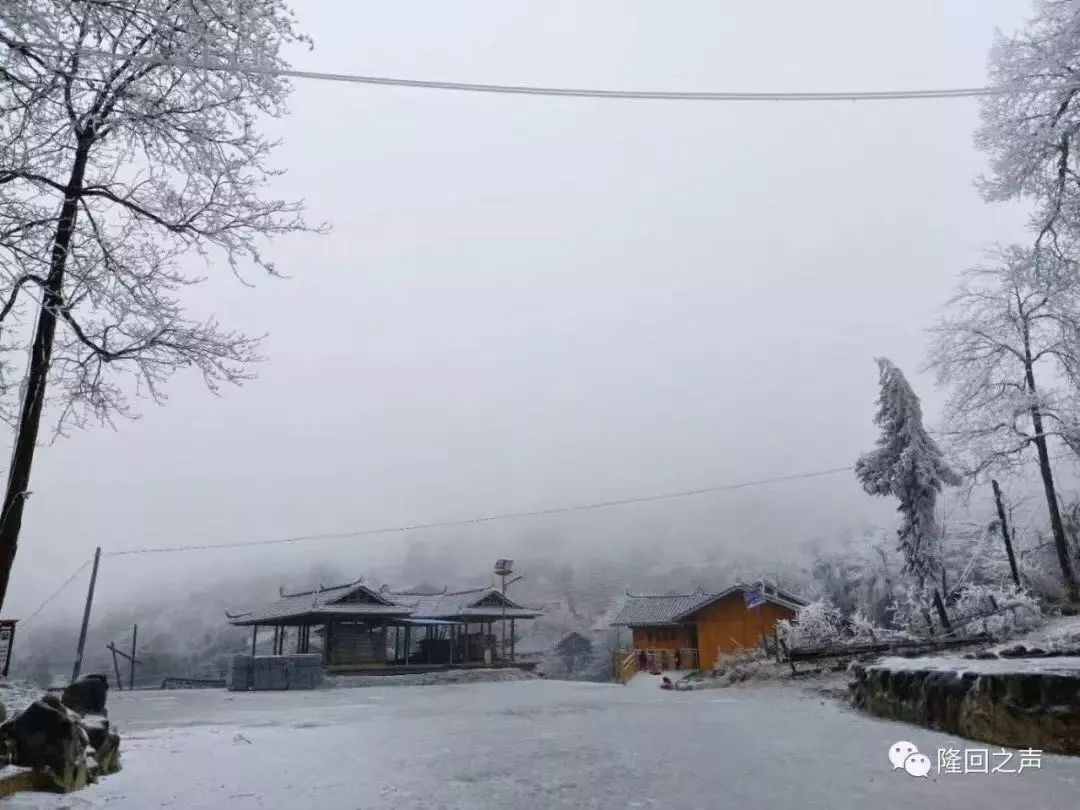 真的下雪啦快看看2018年最美雪景