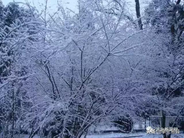 小時候的下雪天，你是不是這樣過的 生活 第12張