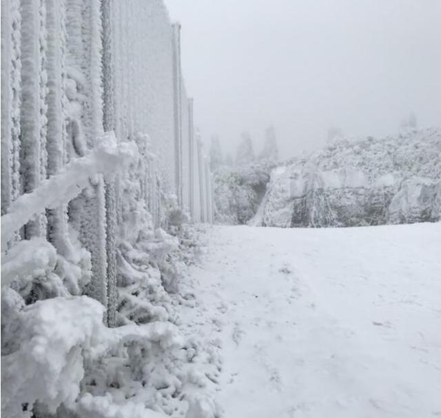 重慶竟藏著一個雪鄉，霧凇、雪景美哭了，距主城僅3小時 旅行 第10張