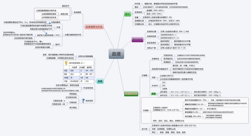 生理学思维导图医学生必备