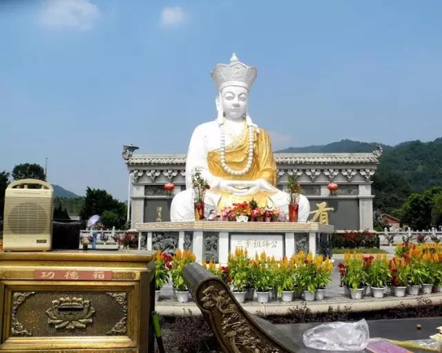 漳州三平寺朝拜一日游99元人