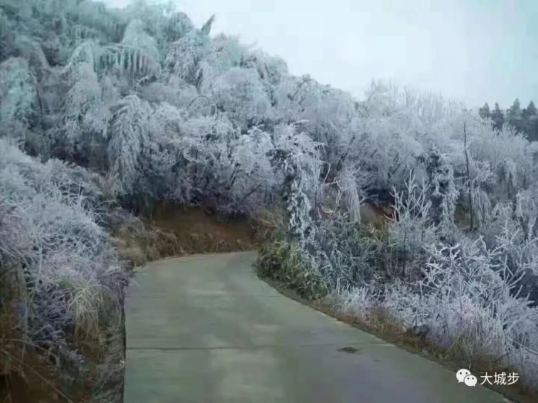 真的下雪啦快看看2018年最美雪景