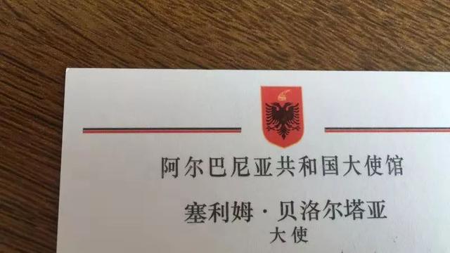 陆金喜与2019全球外交官中国文化之夜轮值主席 阿尔巴尼亚驻华大使