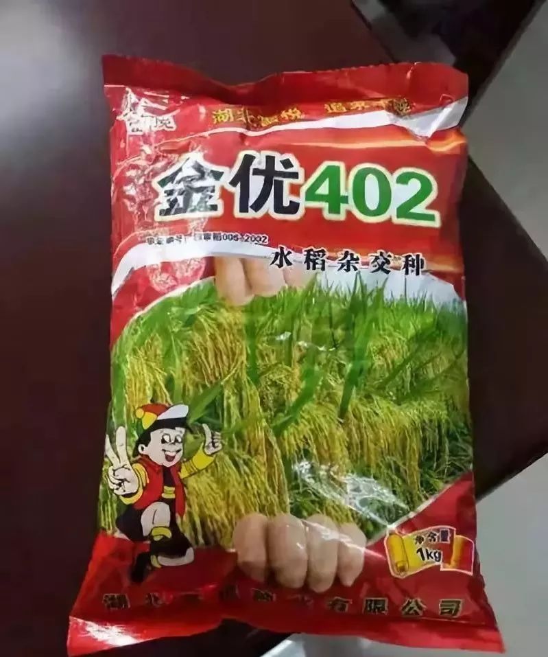 假冒的金优402种子.