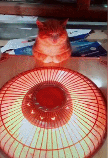 主人把取暖器放在桌上，橘貓趕緊端起小手過來烤火，這表情好享受 萌寵 第4張