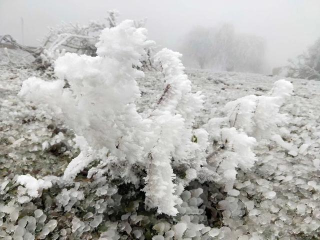 重慶竟藏著一個雪鄉，霧凇、雪景美哭了，距主城僅3小時 旅行 第8張