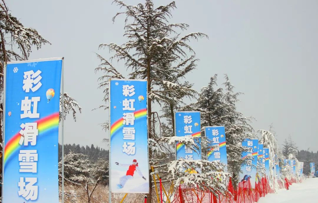 【今日推荐】雪山彩虹谷滑雪场开启造雪模式啦!新雪季激情开场!