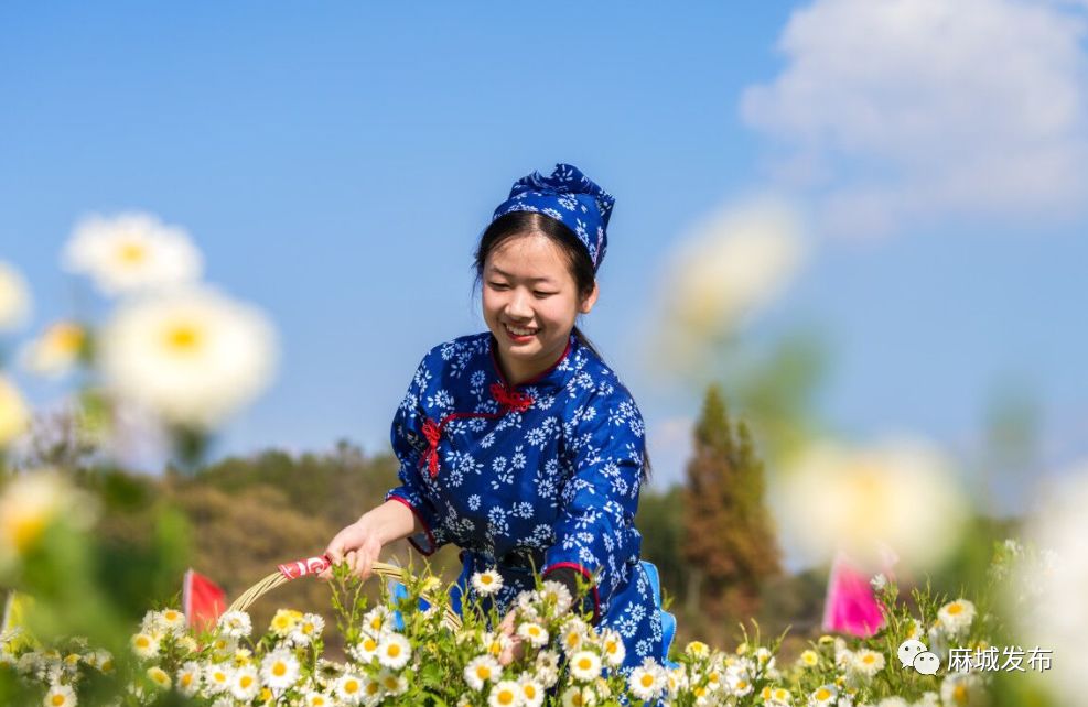 菊花加上她!是时候拿出来显摆了