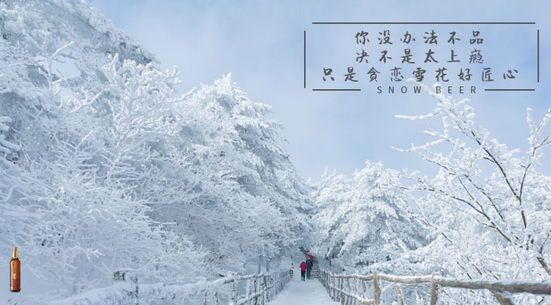 你听过雪落下的声音吗内含音频