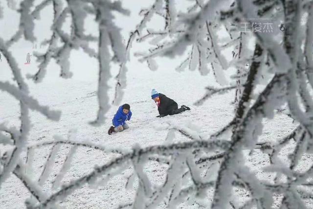 重慶竟藏著一個雪鄉，霧凇、雪景美哭了，距主城僅3小時 旅行 第13張