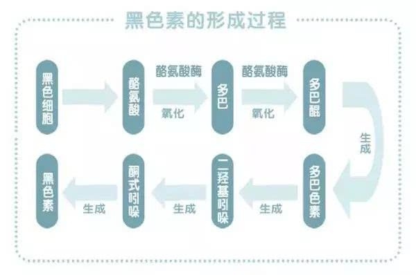 娜允人口_韩国允娜