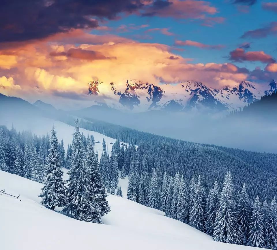 雪山千年恋的简谱_雪山千年恋图