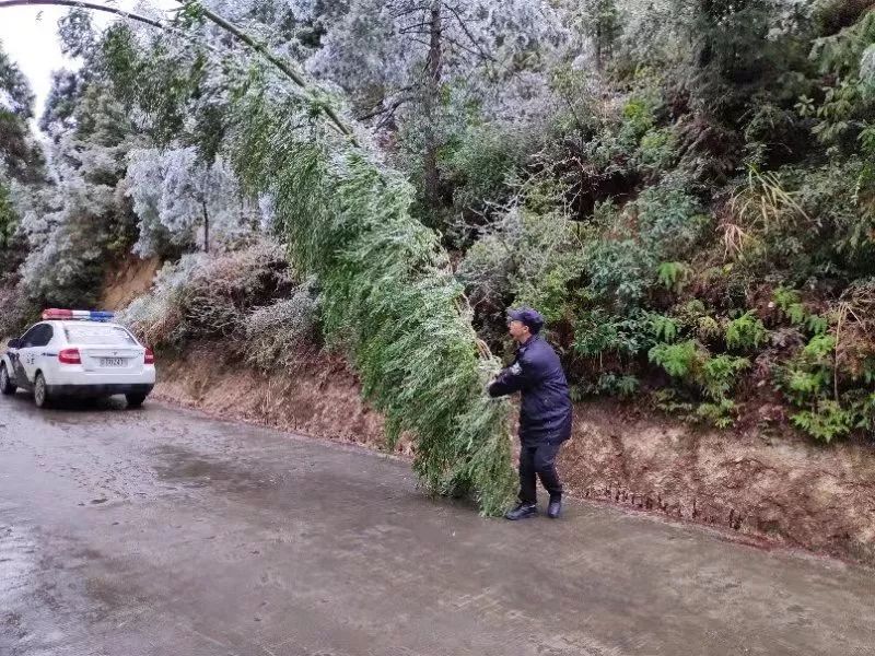 城岗人口_东汇城超市人口图片