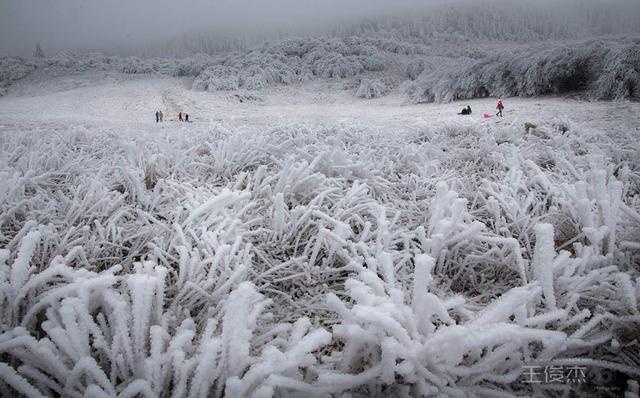 重慶竟藏著一個雪鄉，霧凇、雪景美哭了，距主城僅3小時 旅行 第16張
