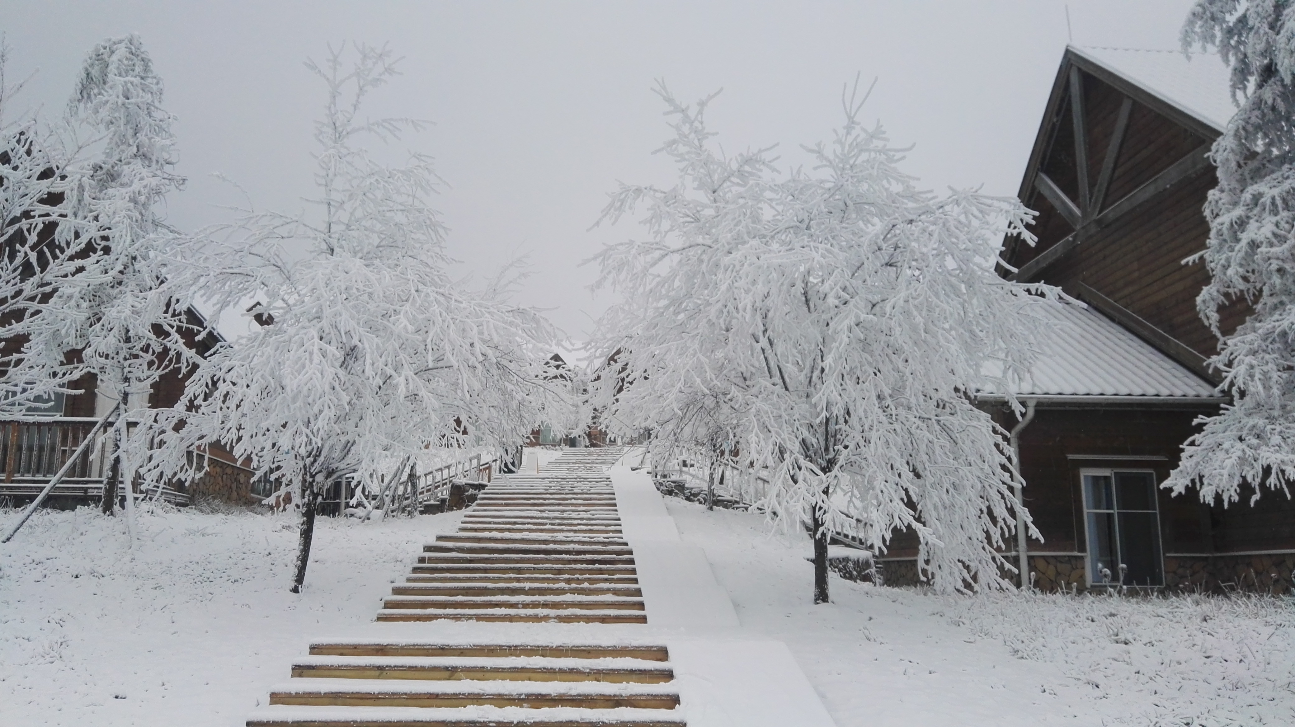 成都之巅雪景上线,96元游西岭惠享雪景狂欢