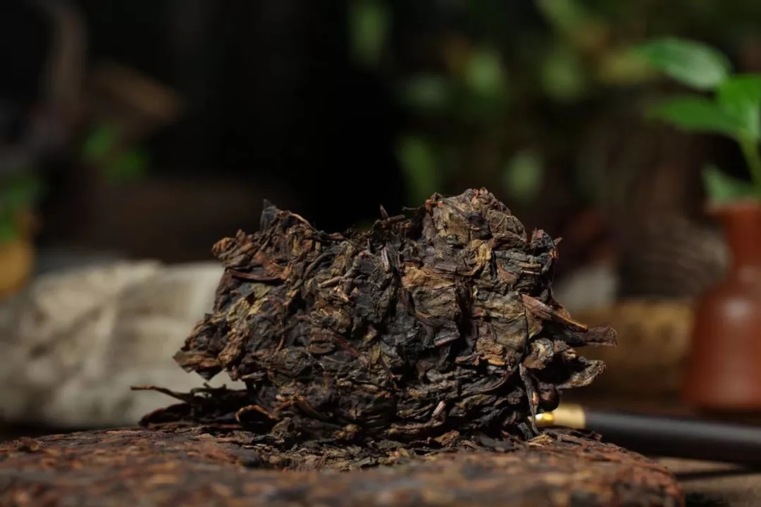 品味普洱茶的故事…倮倮茶仓宁波店开业啦