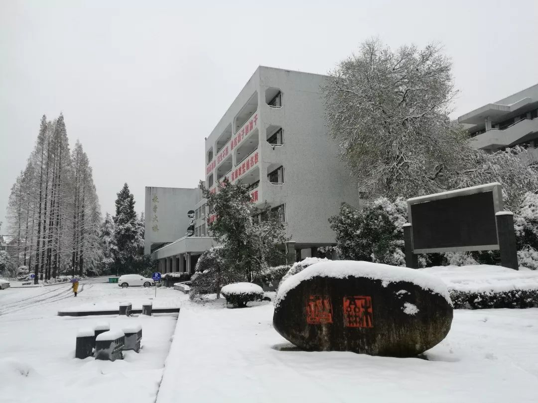 一大波富阳学校雪景来袭,比这更美的是._新登