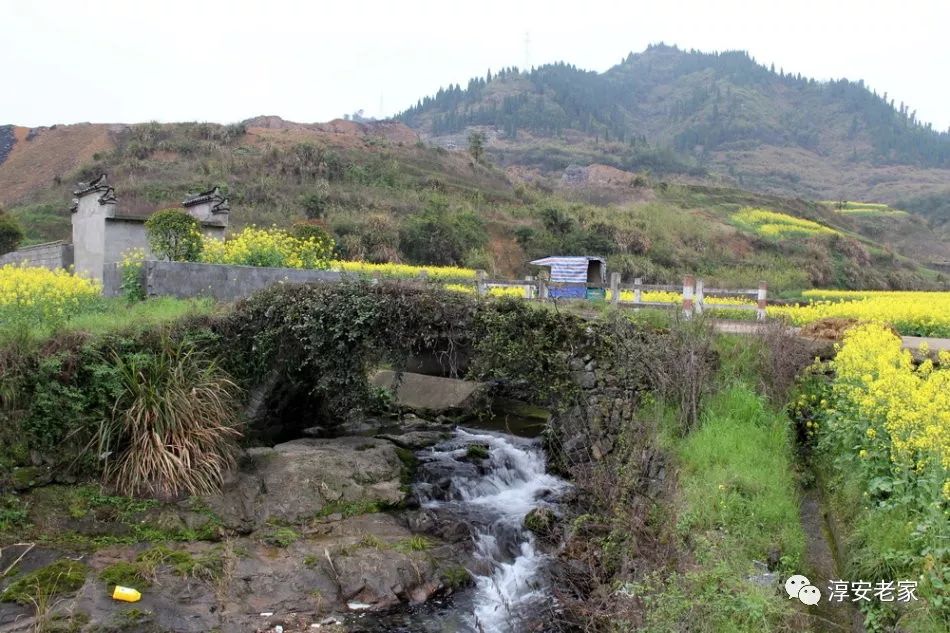 古桥风韵浪川芹溪古桥