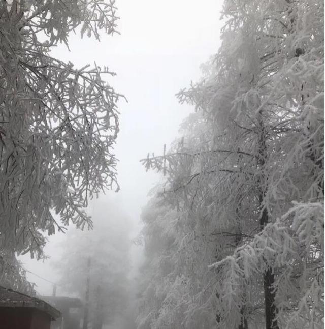 重慶竟藏著一個雪鄉，霧凇、雪景美哭了，距主城僅3小時 旅行 第14張