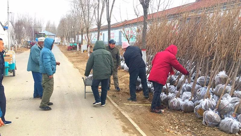 美丽幸福新香河蒋辛屯镇用这种方式助力美丽庭院建设