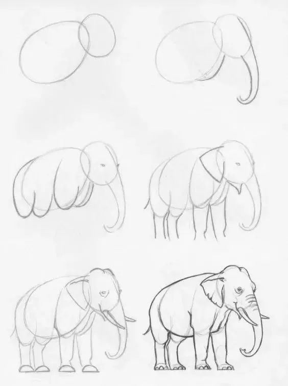 素材-简笔画动物绘画步骤