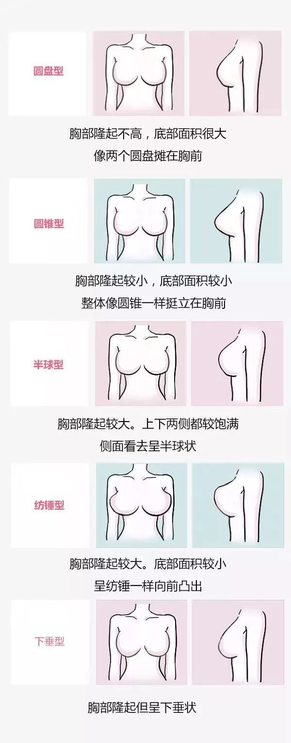 女生内衣的秘密_胸部