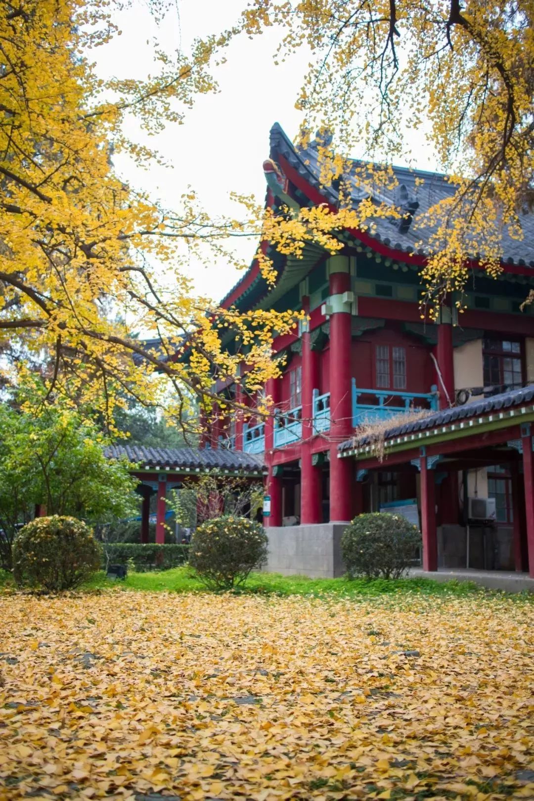 今天,南京师范大学一群学生在这里唱响和平之歌