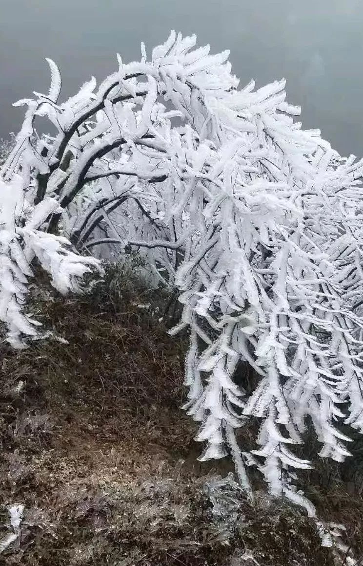 郴州这几个路段结冰,注意减速慢行!