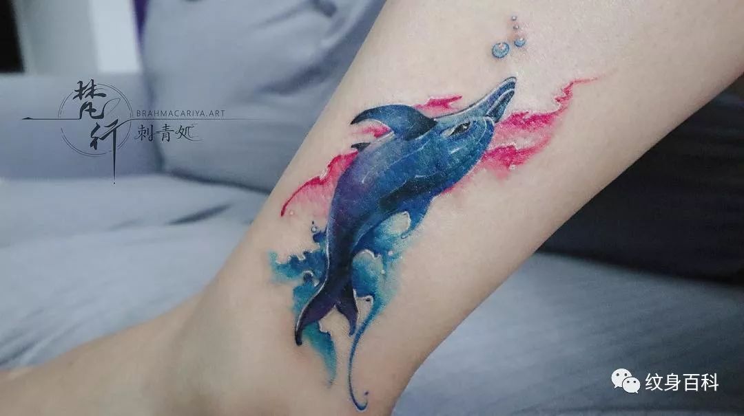 纹身海豚系列