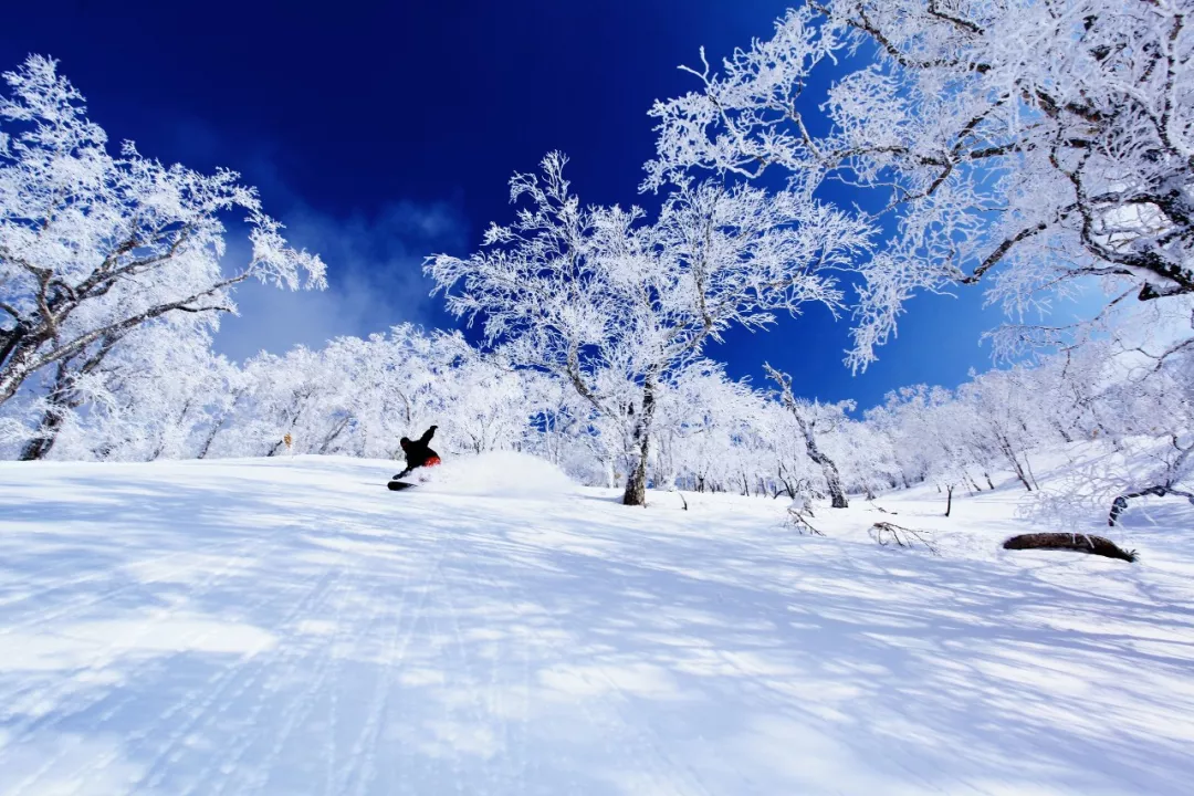 冬天,白雪皑皑,泡个温泉滑一场雪……这一切,使北海道成为一年四季都