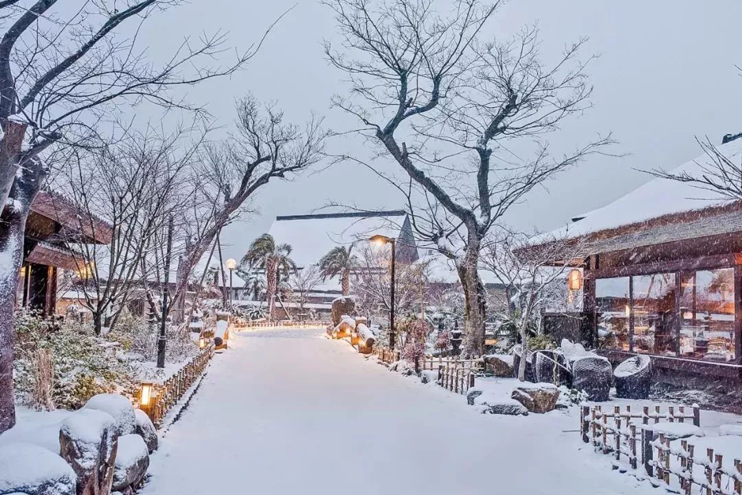 送一波拈花湾超美雪景壁纸给你解馋,拿走不谢!