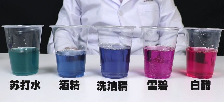 五种透明液体:醋溶液,雪碧,洗洁精,酒精,苏打水 变色的秘密 紫甘蓝中