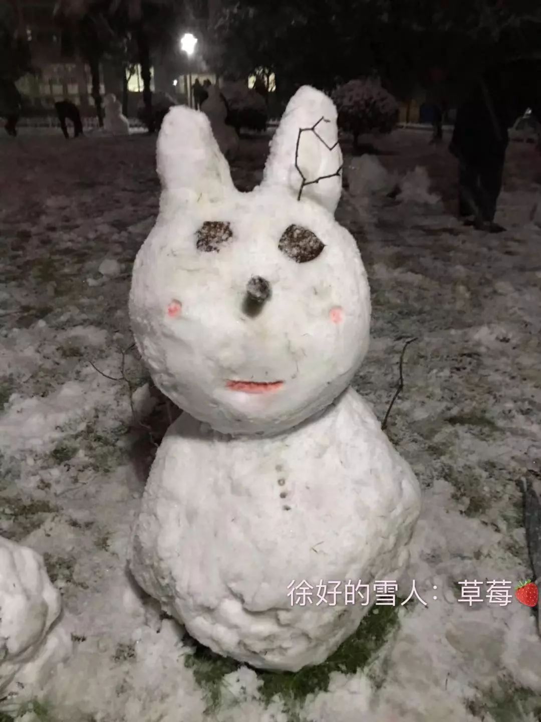 2018年度堆雪人大赛开始投票啦你觉得哪个雪人最可爱上辑投票截止于12