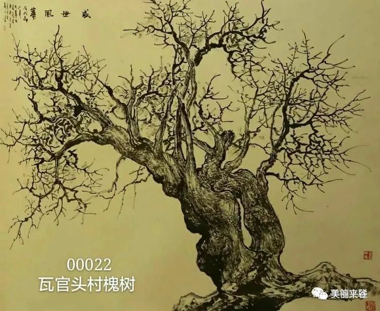 雅俗共赏谢印成为平谷文联长卷画展五十八棵古树题写原创诗词60篇