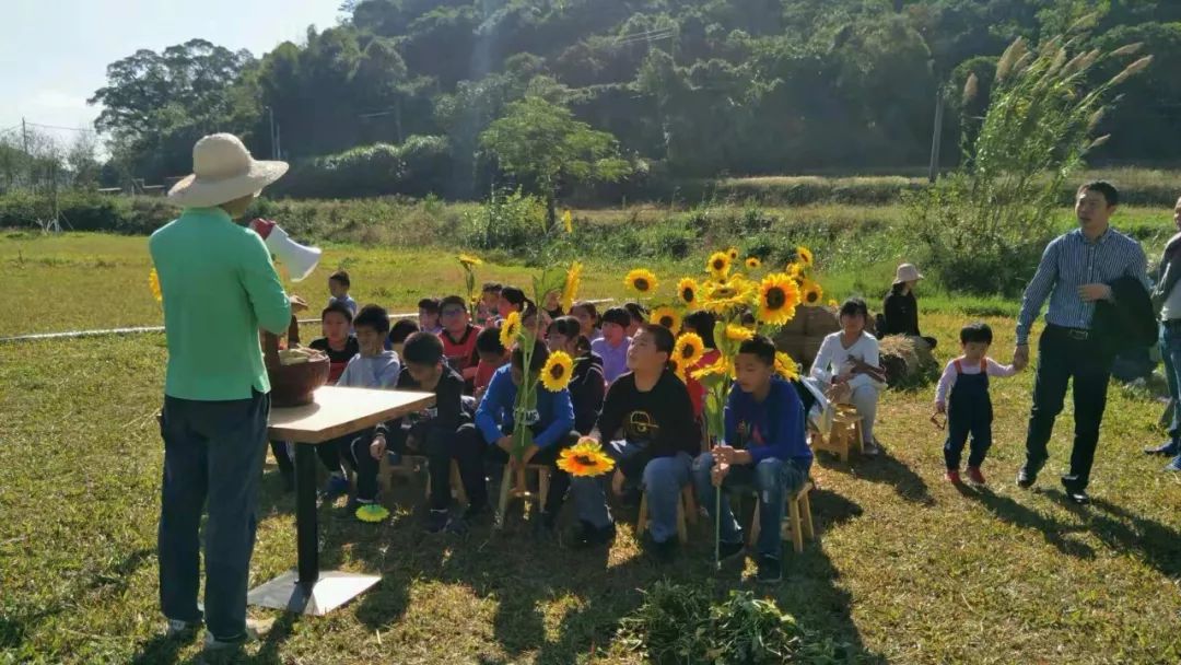 慢下节奏体验田园生活