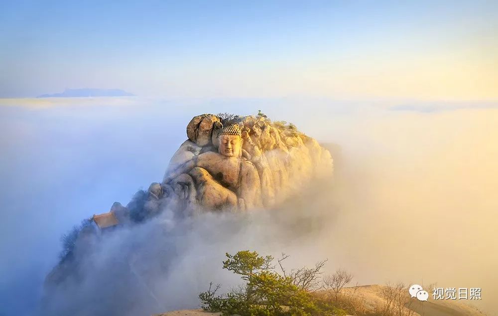 五莲山圣境 云海大佛浮来山4000年树龄的银杏树王蓬勃发展的日照港靠