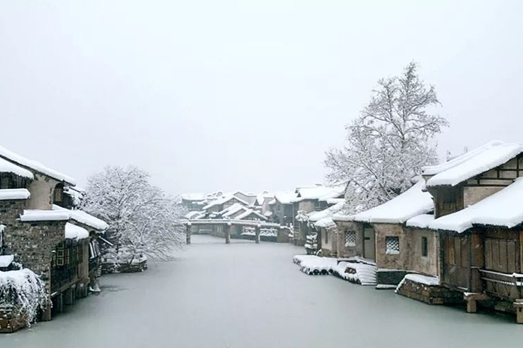 今年,我想和你去看一场乌镇的雪!