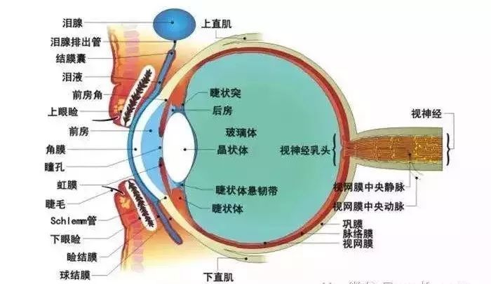 你的眼角流着我的泪简谱_你的眼角流着我的泪 彩谱(3)