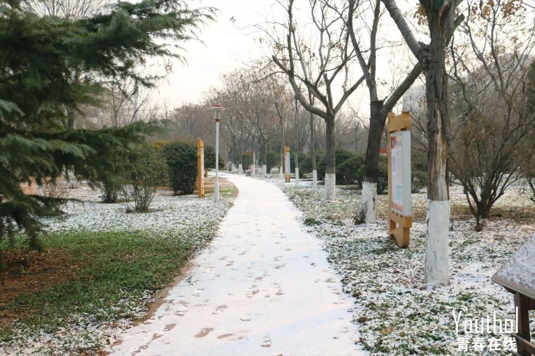 12.11,淄博初雪