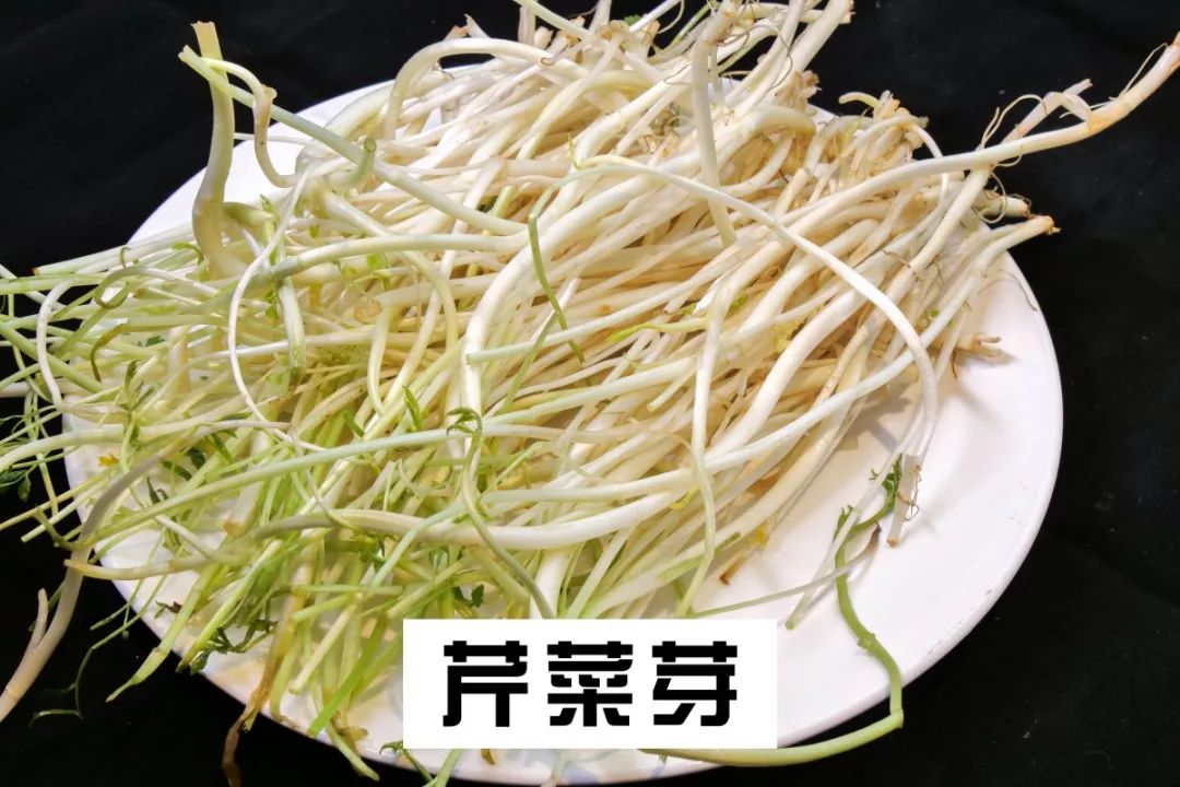 芹菜芽用土覆盖一段时间后长成白白的嫩的根茎很嫩比芹菜好吃安庆人