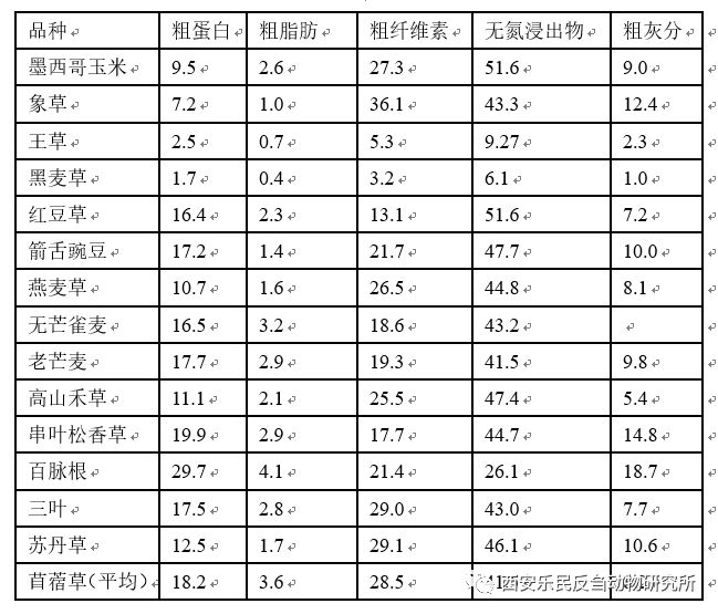 粮草先行牧草营养知多少