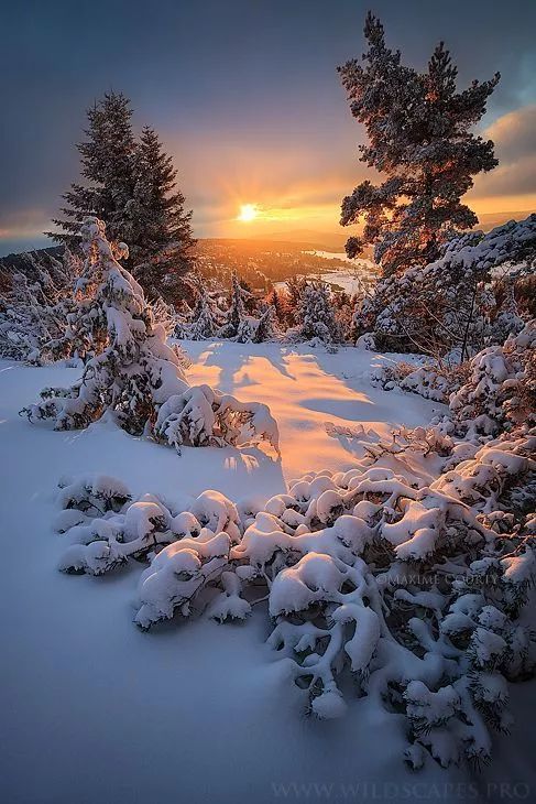 今天就来教大家,怎么利用手机拍摄出好看的雪景 1 选择合适的时间