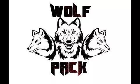 该男子效力于 群狼帮(wolf pack).