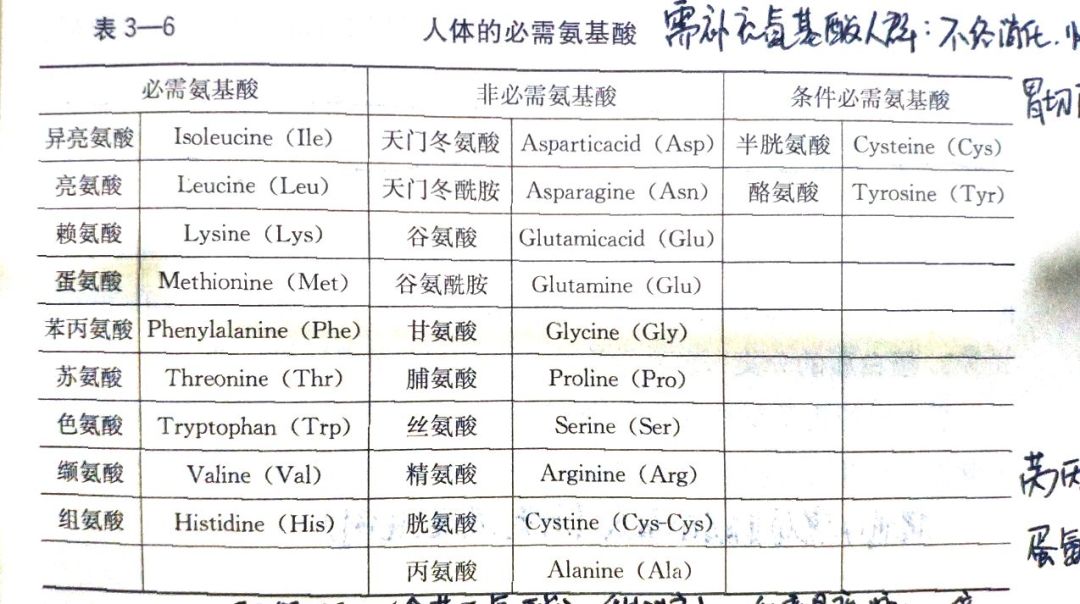 所以含有必需氨基酸的食物不能缺少~必需氨基酸不能通过人体合成或者