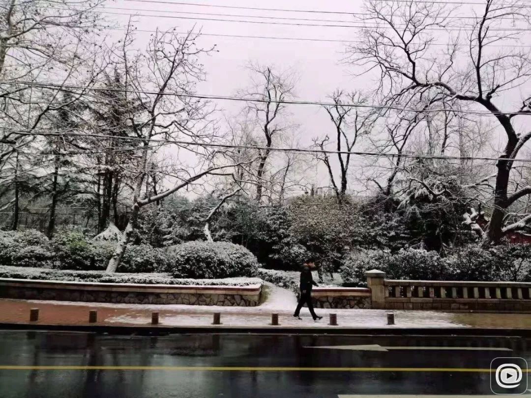 最新:青岛这个区雪最大!一大波雪景美图来了…丨12.11新闻早餐